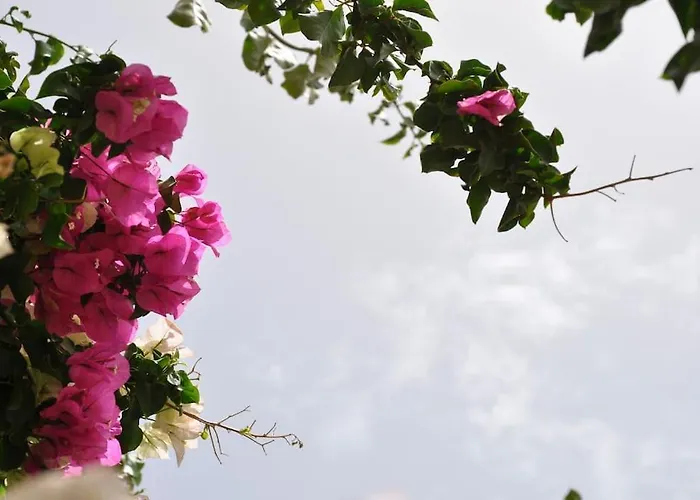 בית נופש Cyclades Naxos *