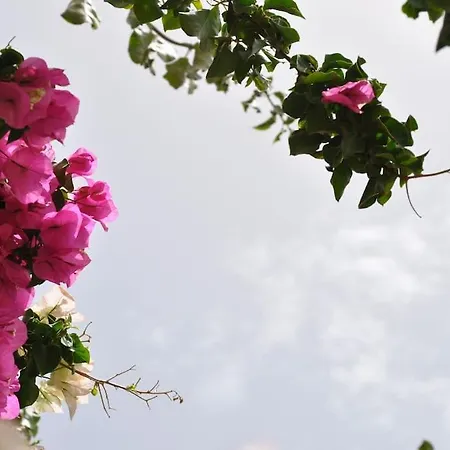 Holiday home Cyclades Naxos *